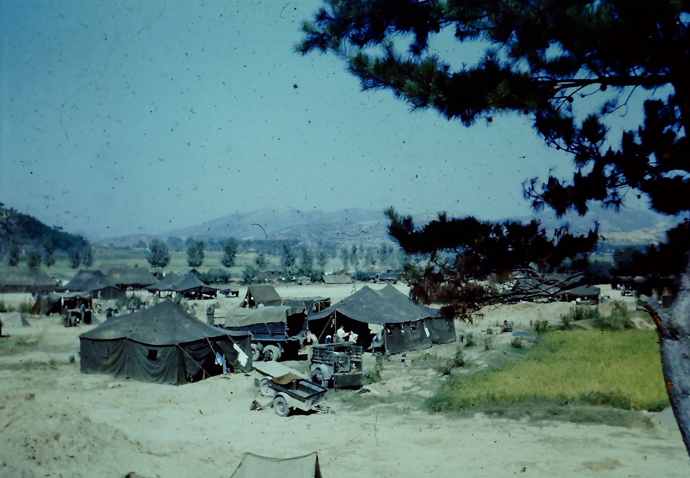 My beautiful picture